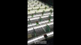 Varios estilos de malla laminada de vidrio disponibles