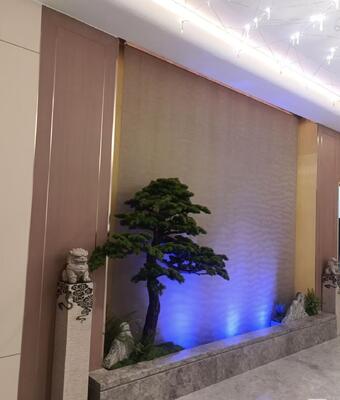 Cortina de agua decorativa de acero inoxidable Flujo de agua uniforme Iluminación ambiental LED Dividor de habitación